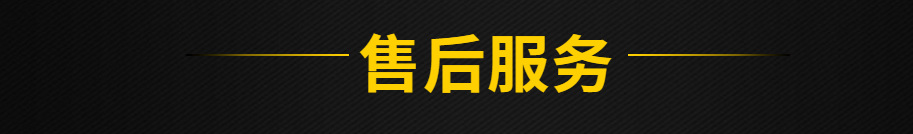 ۺ
